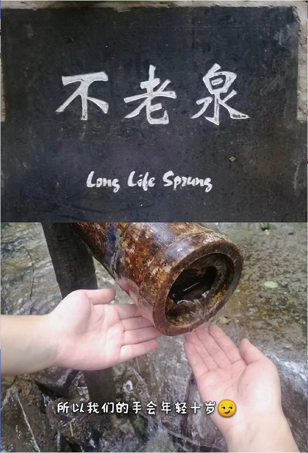 10.png